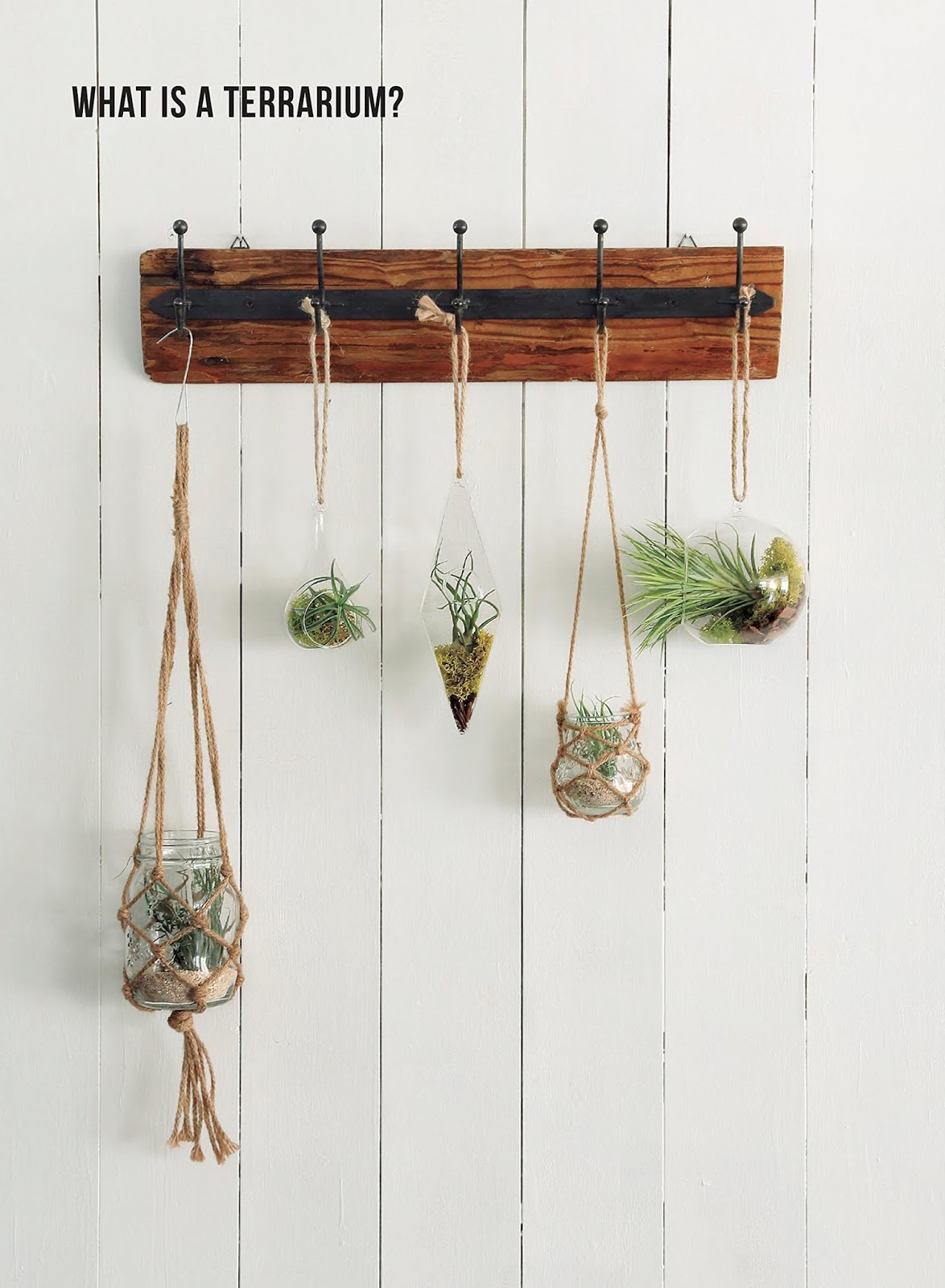 Kevin's Corner Review Miniature Terrariums Tiny Glass Container