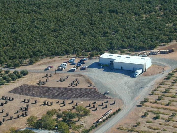 Figs Photo Collection Around the World Maywood Farms Around the Figs