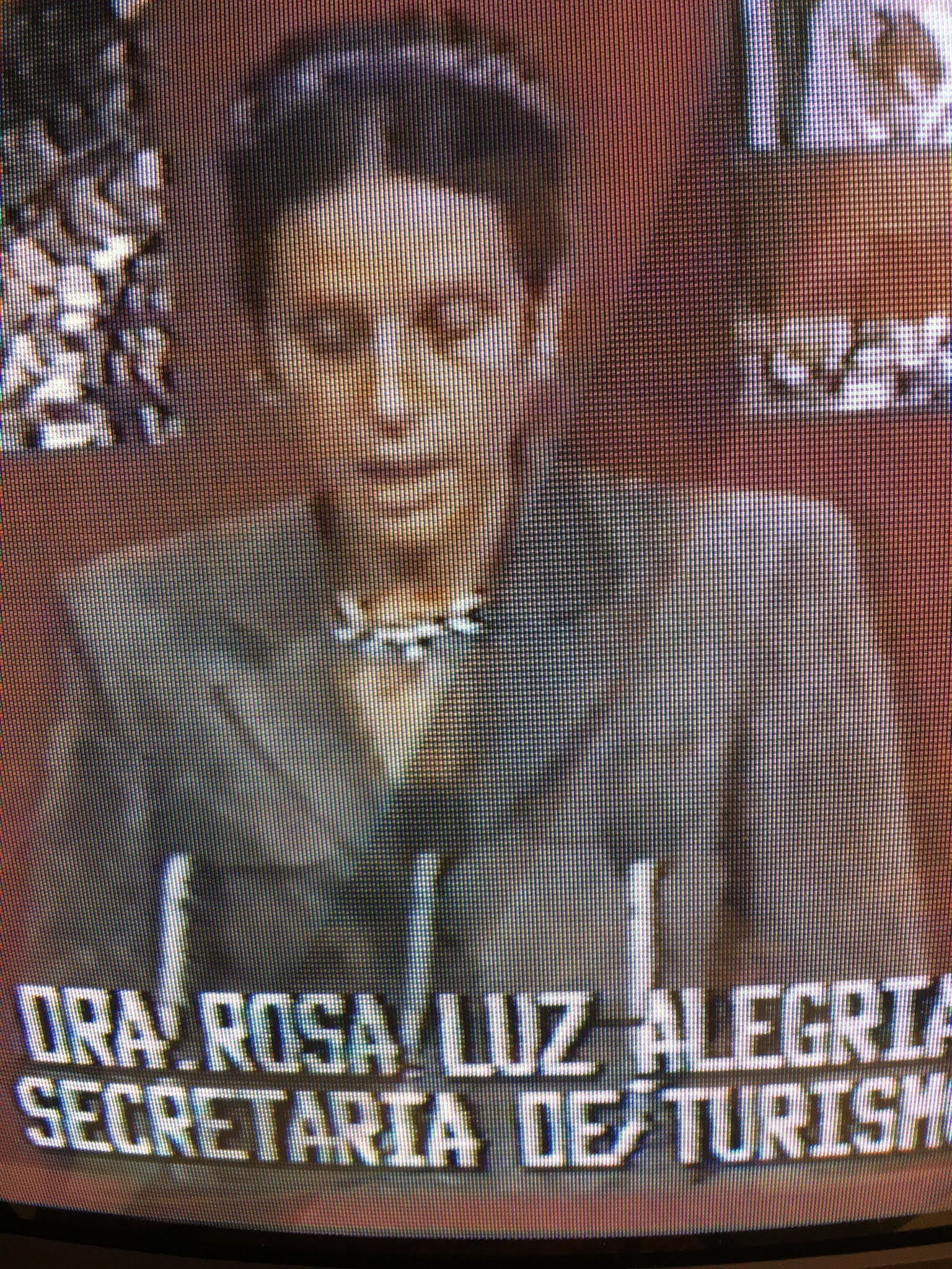 Teddview Audiovisual Archival Management (TAAM)