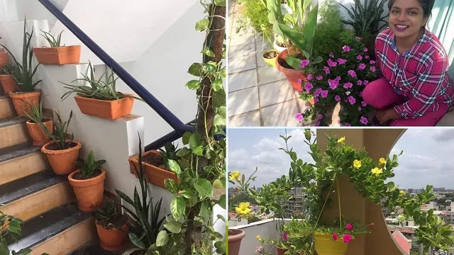 garden of ankur sethi