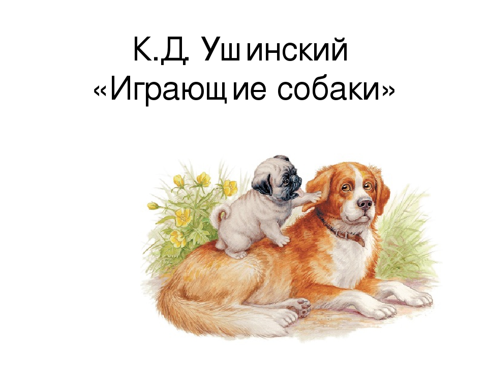 Мама и собака рассказ. Играющие собаки Ушинский. К. Д. Ушинский – «играющие собаки». Ушинский рассказ играющие собаки. Иллюстрация к рассказу играющие собаки.