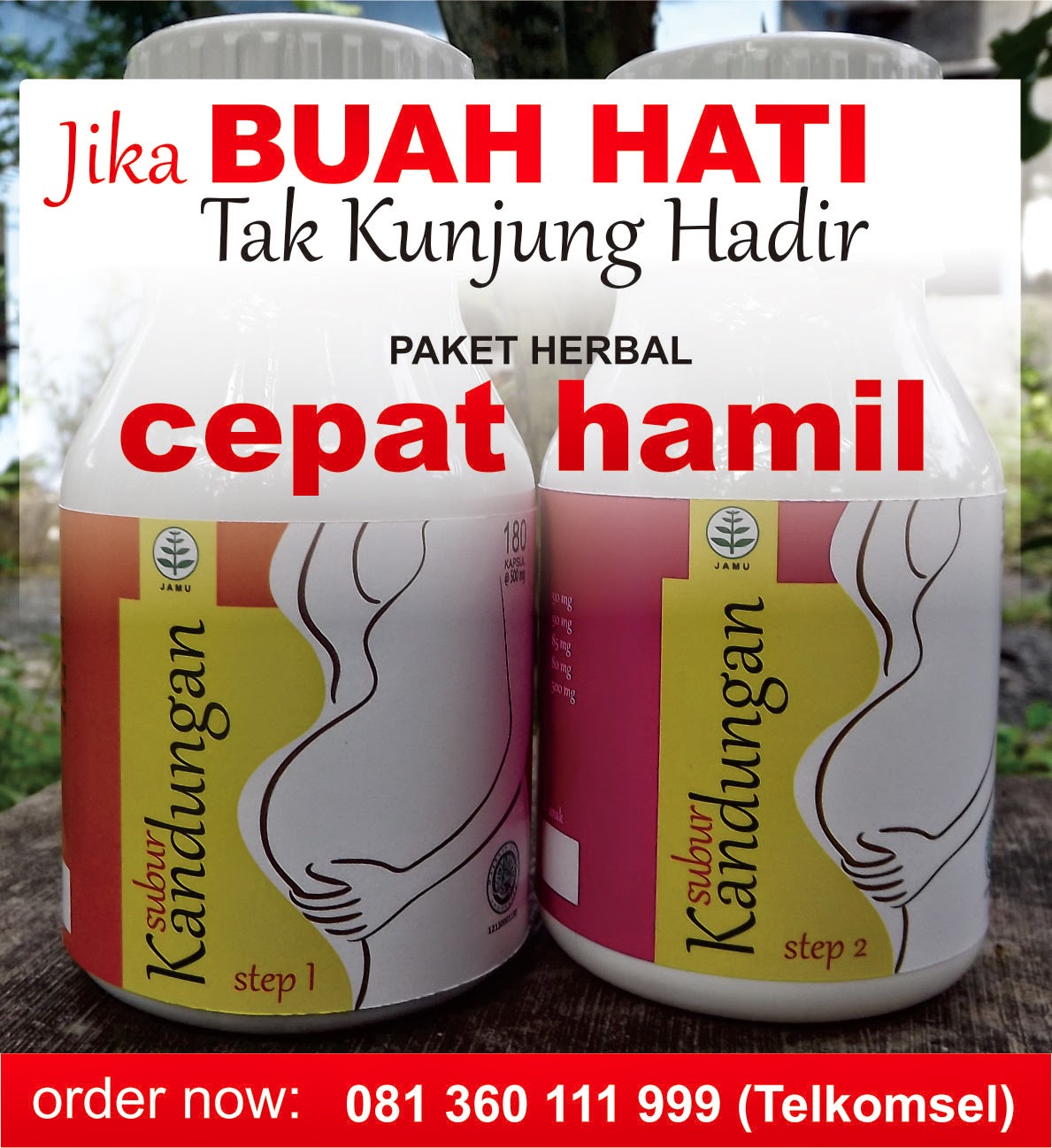 Obat Ibu Hamil Muda ~ Blogger Jukung