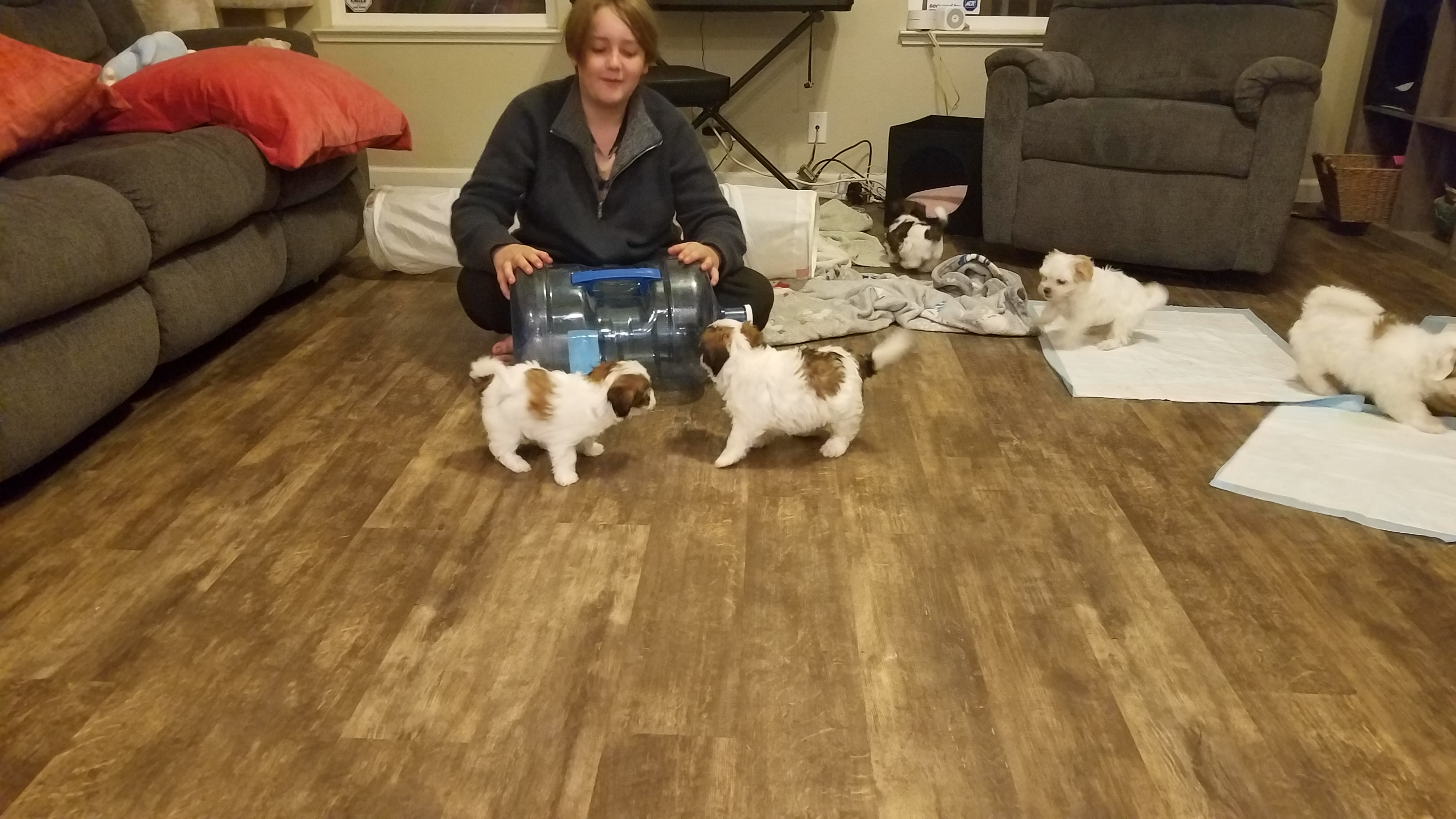 Socializing and Novelty experiences