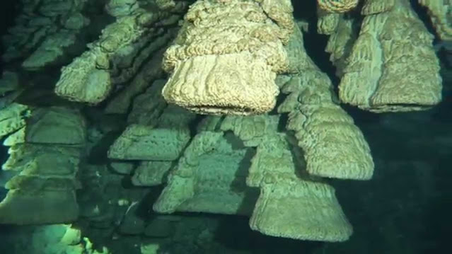 Адские колокола в подводной пещере Эль Сапоте, Мексика