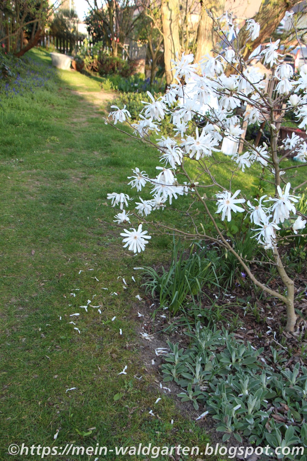 Jahresprojekte Und Was Daraus Wird Die Zitronenfalterin
