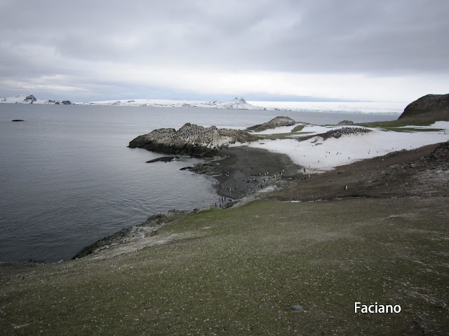 Antarctica南極,復活節島,法姿優乾洗頭乾洗髮Faciano Dry Shampoo