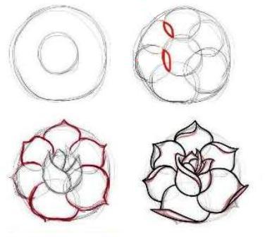 Trik menggambar Bunga Mawar – Rose Flower