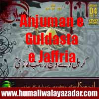 http://ishqehaider.blogspot.com/2013/11/anjuman-e-guldasta-e-jaffria-nohay-2014.html