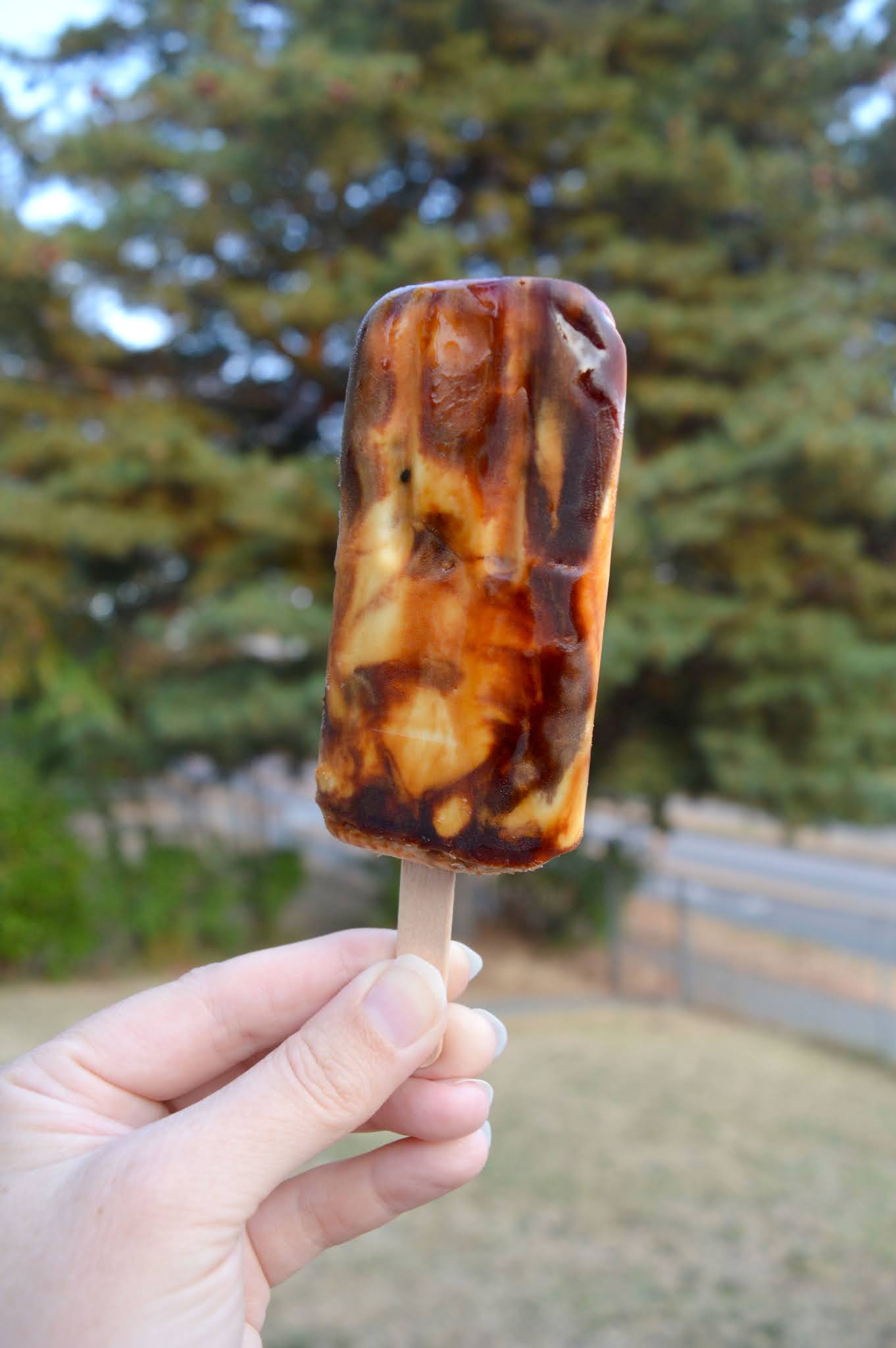 Trying Boba Tea Ice Cream Bars