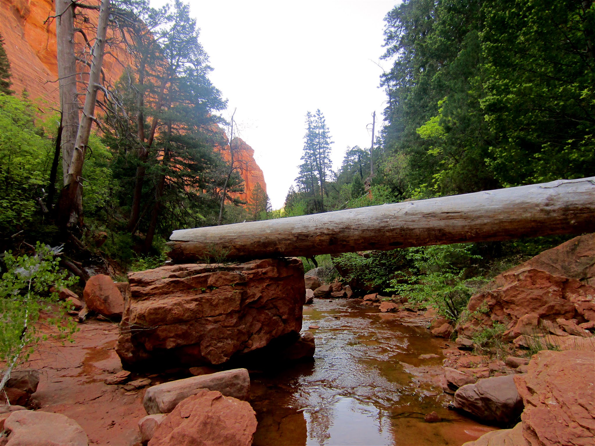 Gene's Family Tree THE LAND OF THE SLEEPING RAINBOW by IRENE WILSON K.I.