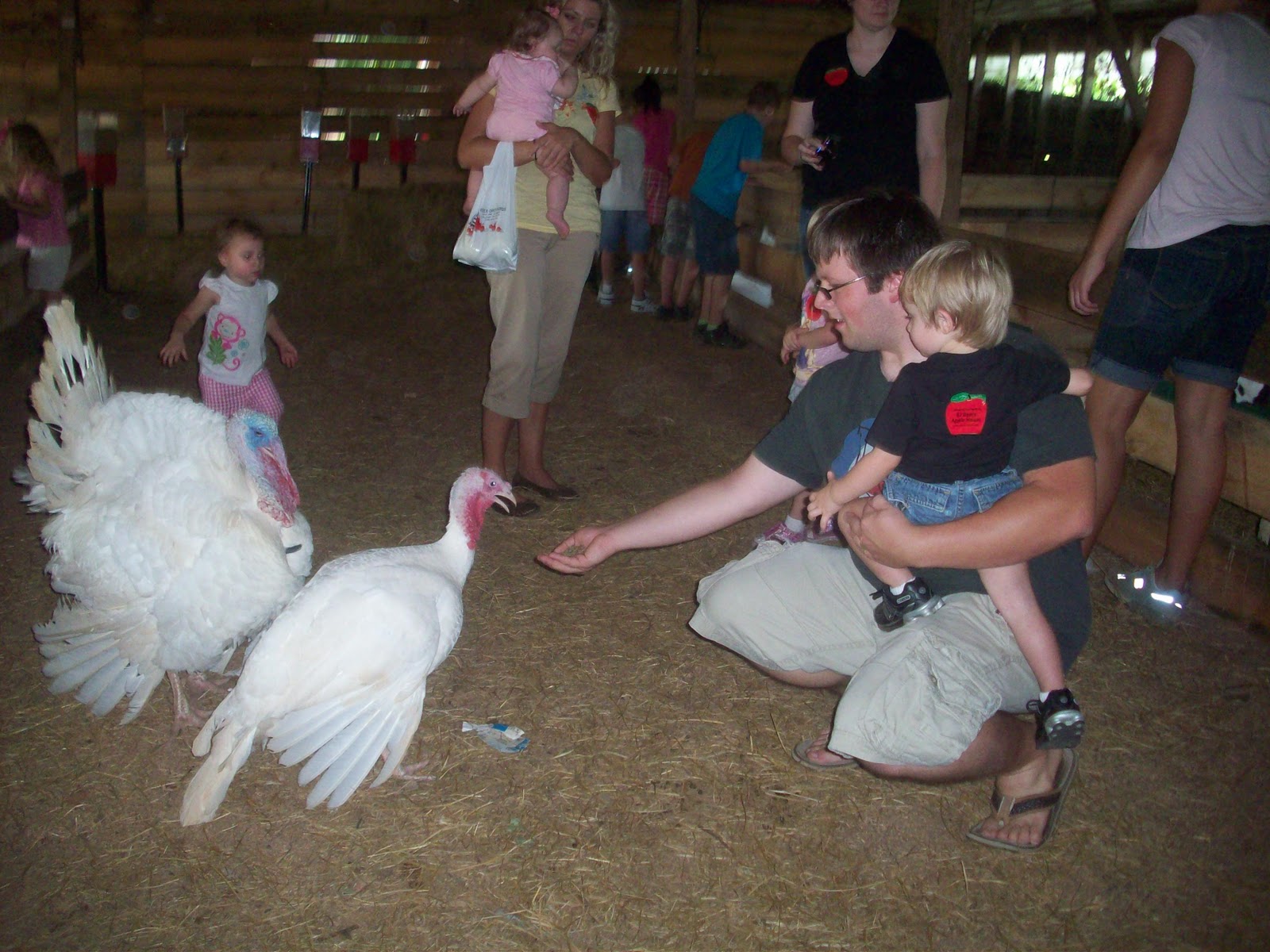 22 Blessings and Counting Apple Orchard and Petting Zoo
