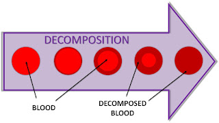 Textusa: Blood and the EVRD dog - Part 1 Blood%2Bdecomposition