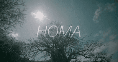 Dayna nyange - Homa