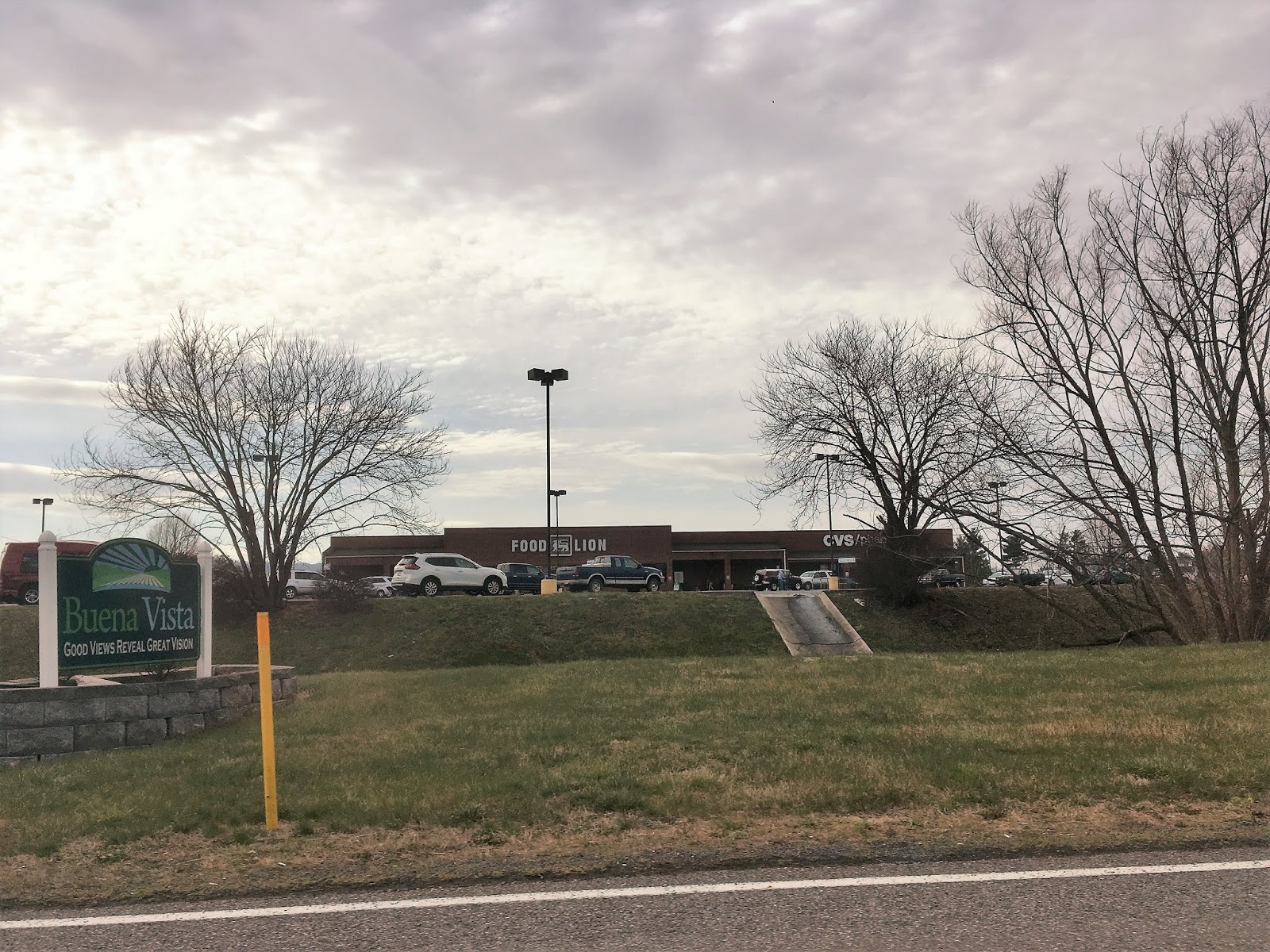 Snapshot Food Lion Buena Vista, VA