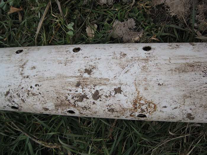 Life among the Tall Pines Septic drain field failure