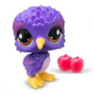 Littlest Pet Shop Series 2 Starter Pack Kiwi Bird (#G7 - #22) Pet Littlest Pet Shop Series 2 Starter Pack Kiwi Bird (#G7 - #22) Pet