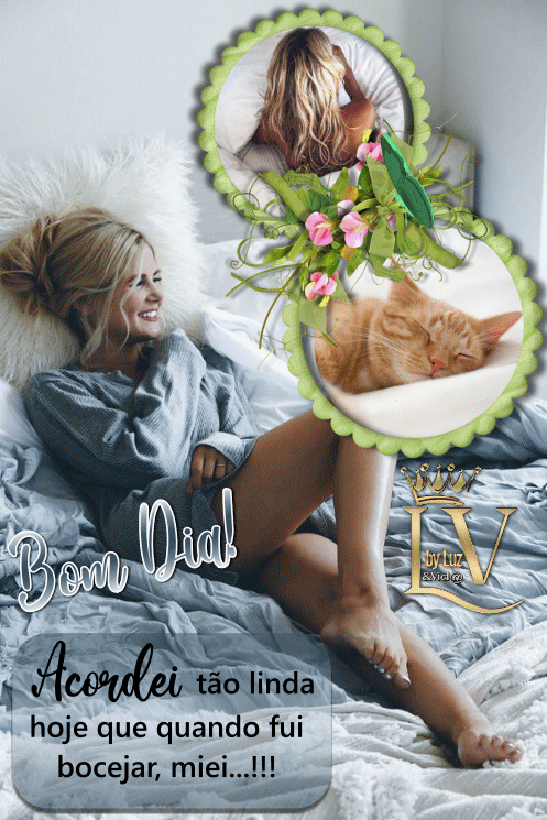 NOVO84%2B-%2528MB%2529maryluz.gif