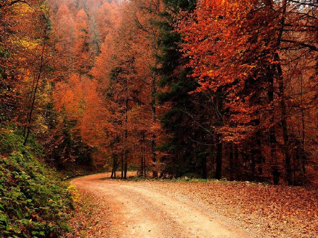 Wallpapersbuzz: Nature Wallpaper For Fall
