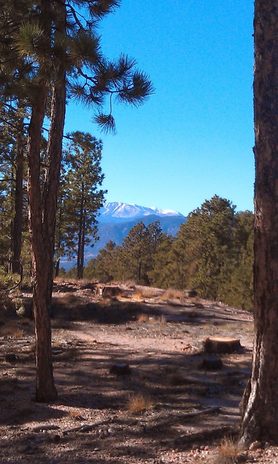 Happy Hikers Fox Run Regional Park Trails