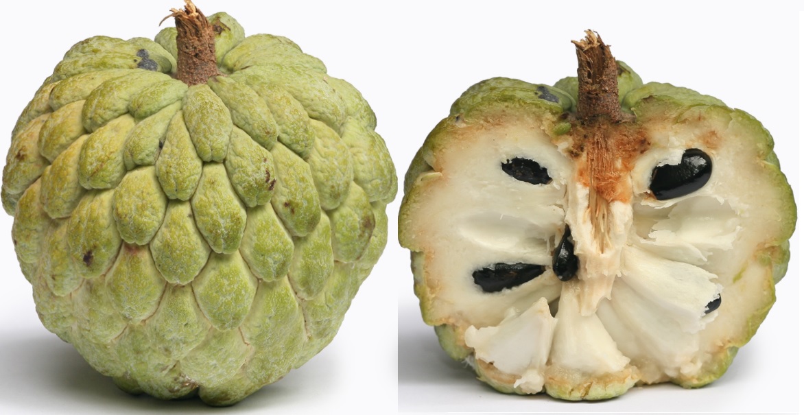 know about kannada and Karnataka Fruit Names in kannadaEnglish