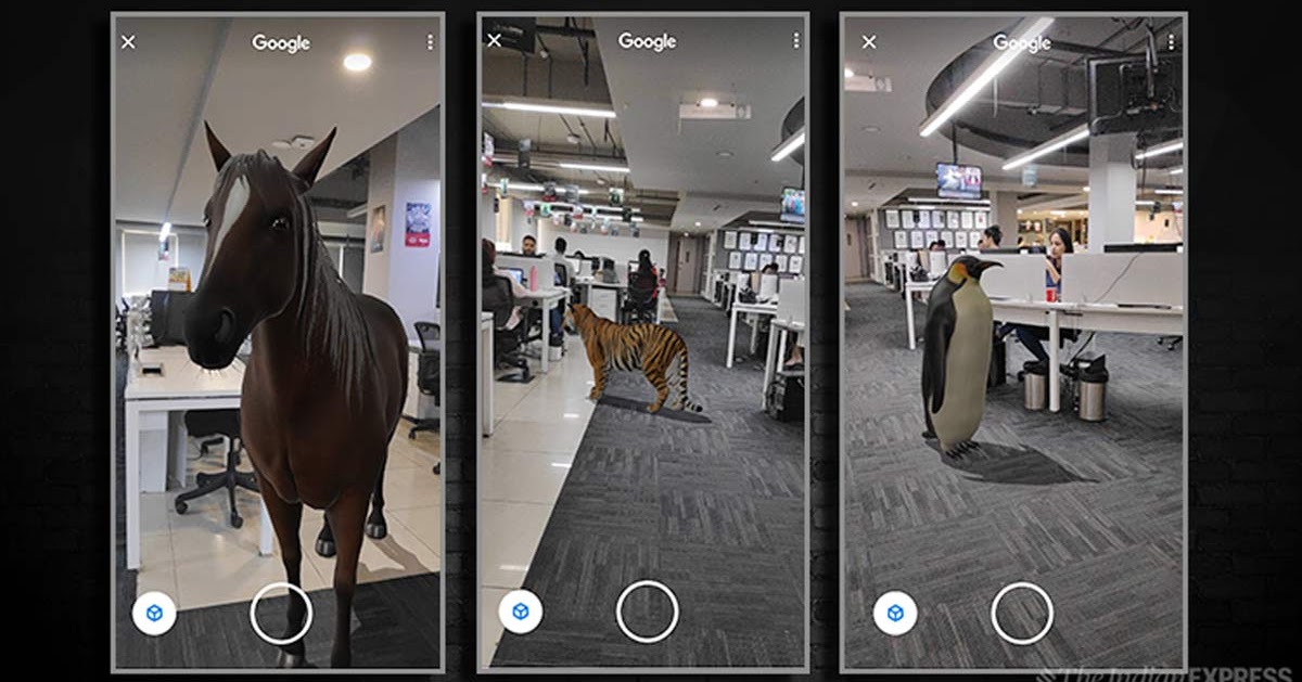 Get Animal 3D Google Iphone Pics