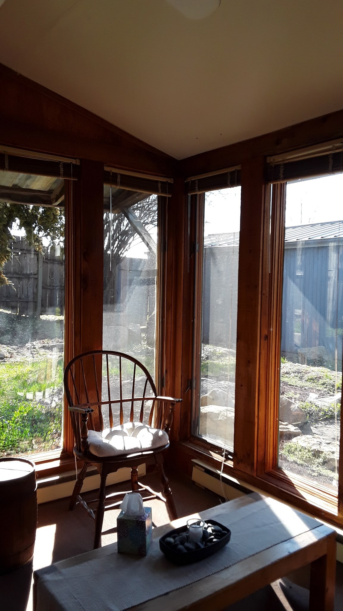 Blooming in Kansas from seeds of faith and trusting God