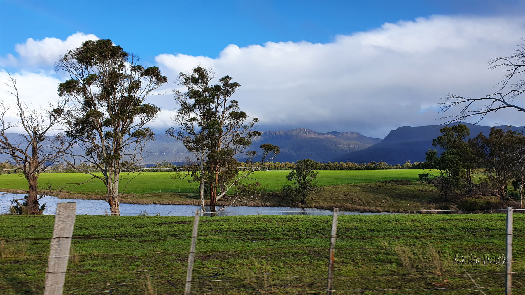 thoughts & happenings Blackwood Creek, Tasmania