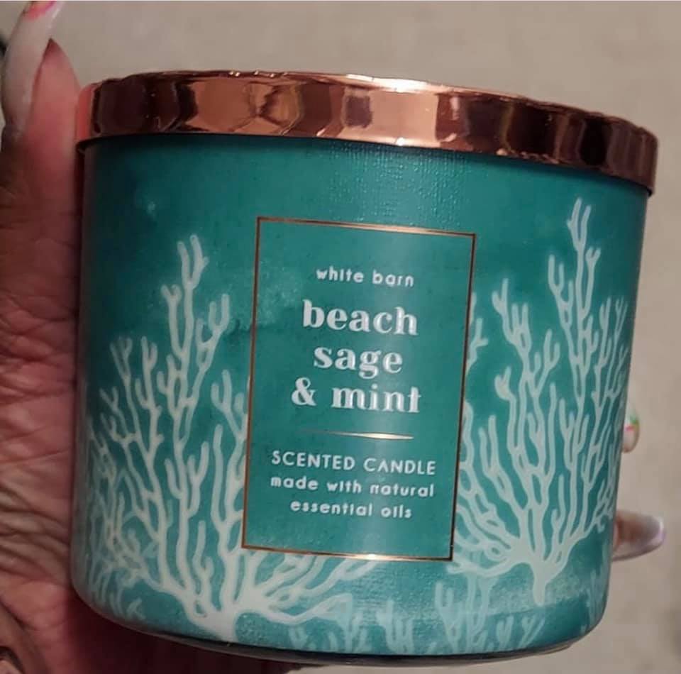 Life Inside the Page Bath & Body Works Coastal Calm Luminaries Candles
