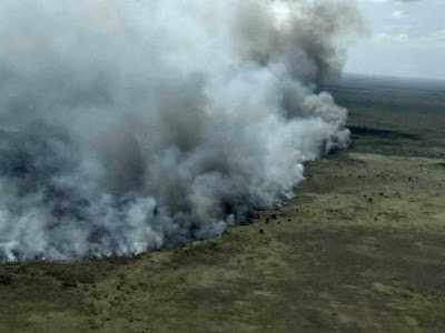 Se suman esfuerzos por contener incendio en reserva de Quintana Roo