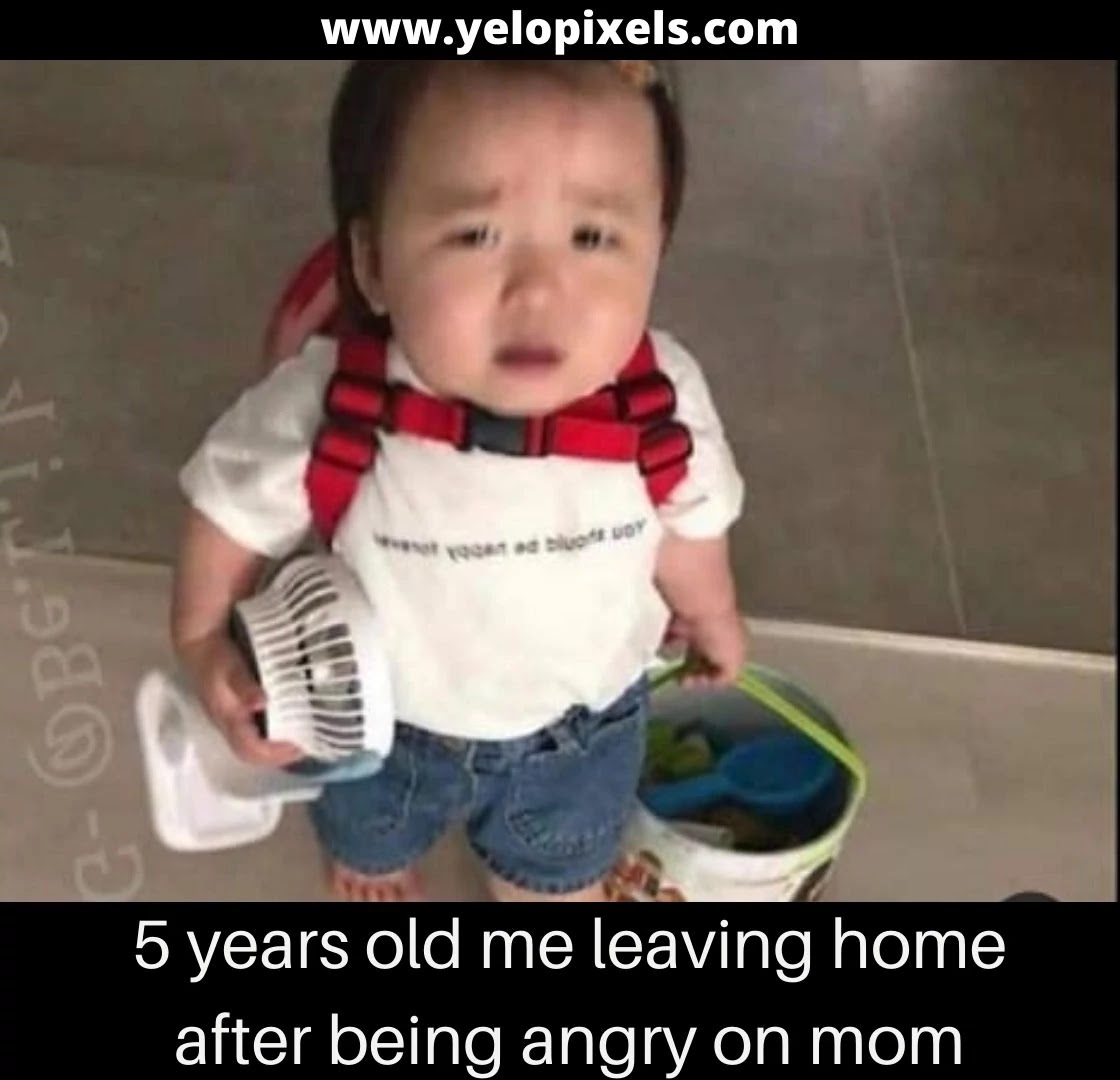 leaving+home+funny+memes+of+the+day