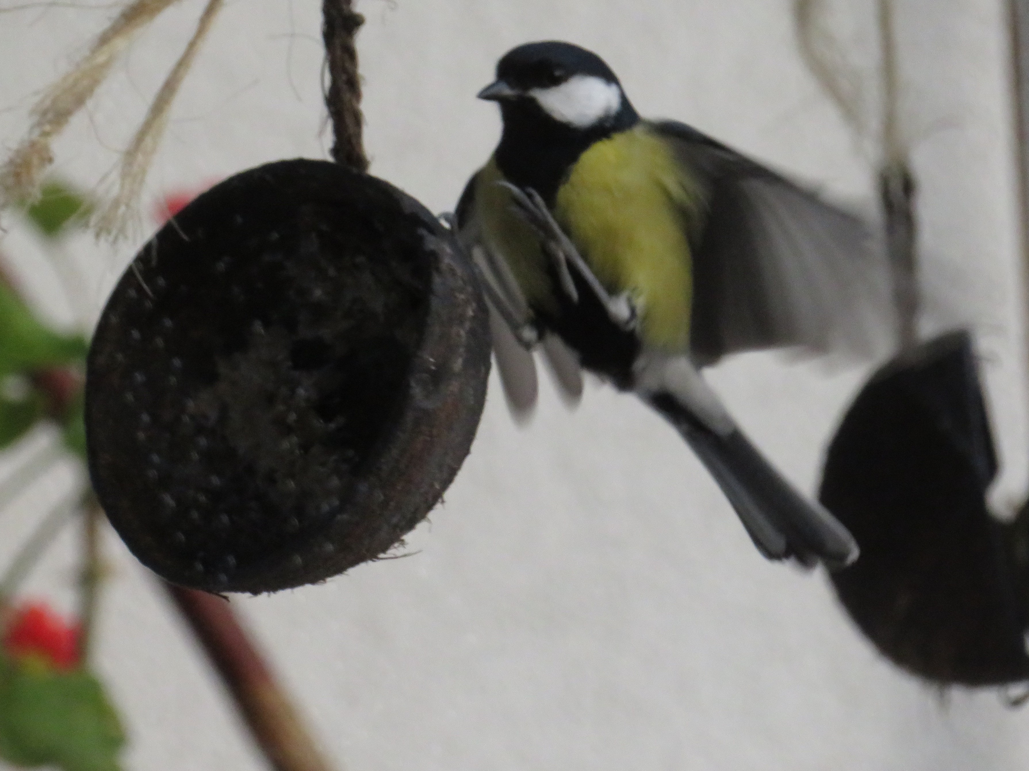 Odpowiadając na pytanie