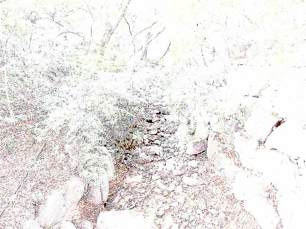 예산 덕숭산 수덕사 예산 덕숭산 수덕사