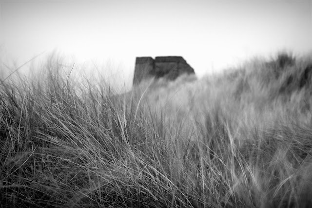 Black and white photograph of sand dunes between Seahouses & Bamburgh by Martyn Ferry Photography