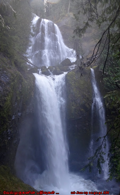 Washington Falls Creek Falls