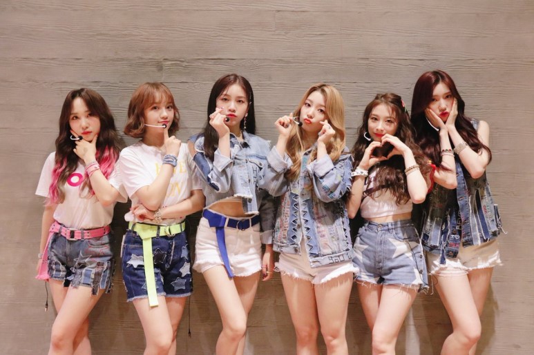 내새끼한테 쏟아붙는 악플들 위트있게 처리하는 팬들 | 인스티즈