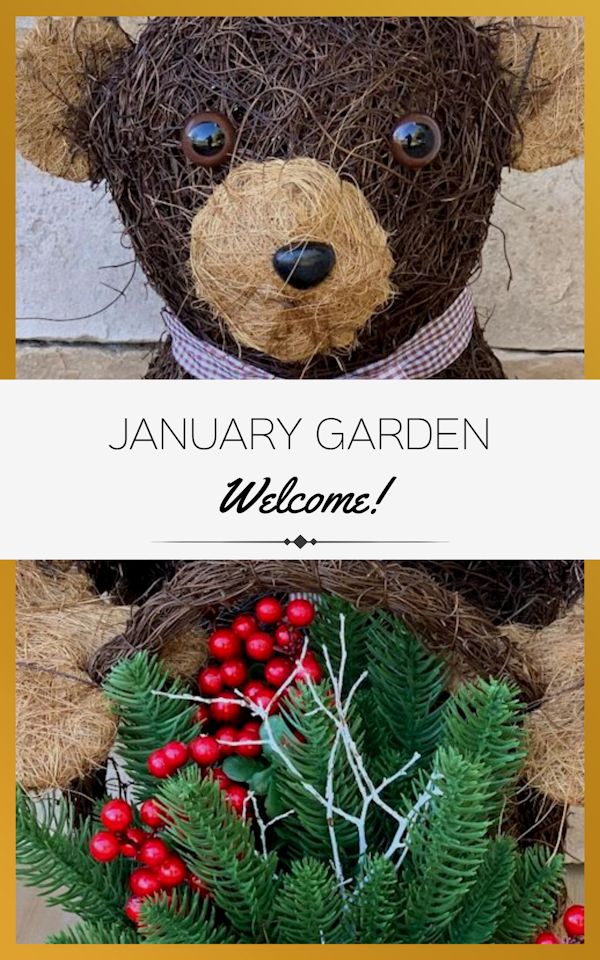 A GUIDE TO NORTHEASTERN GARDENING Garden Bloggers' Bloom Day & Foliage