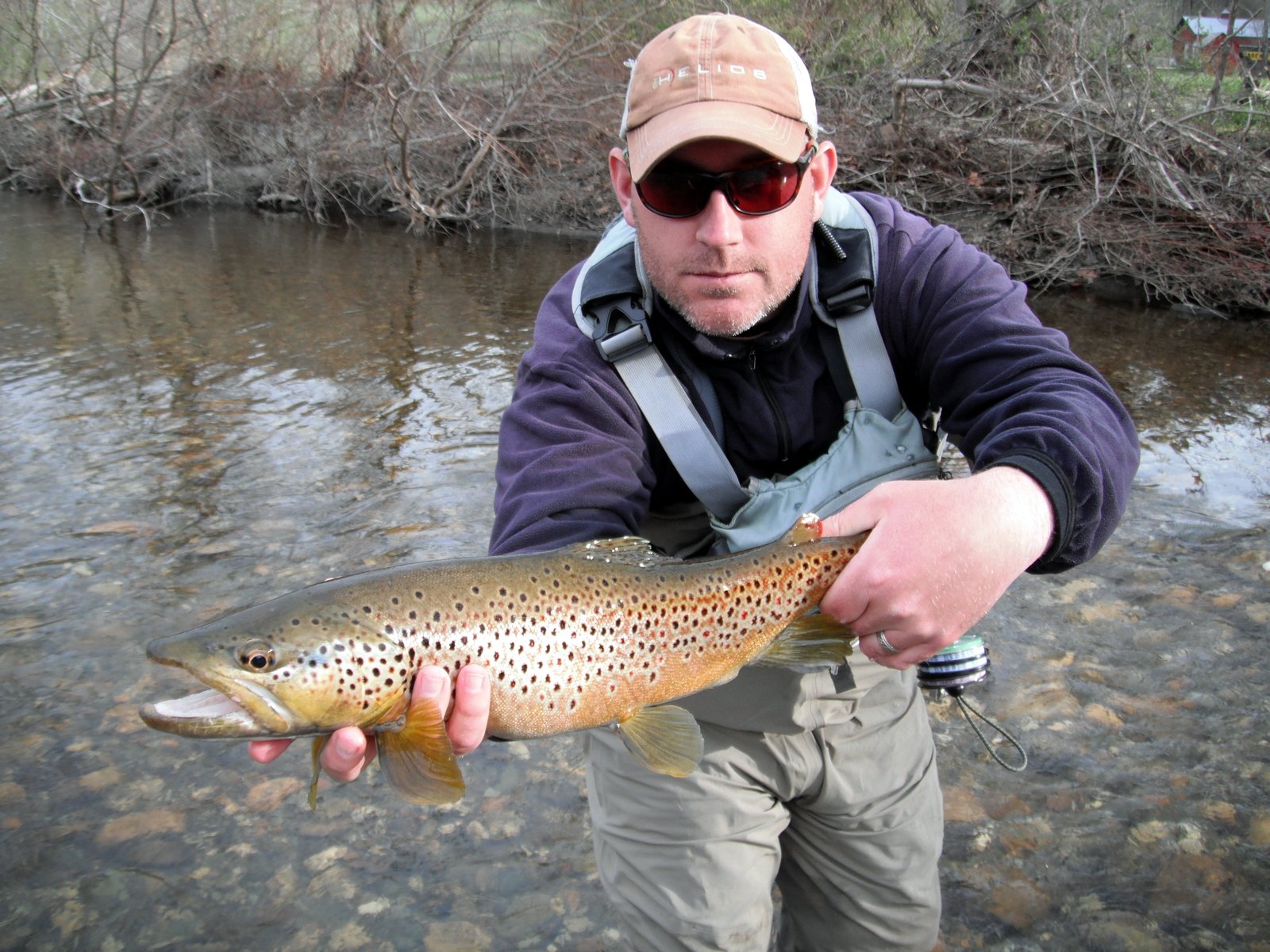 Pictures of the Day: Eastern Guide Rendezvous Brown Trout - Orvis News