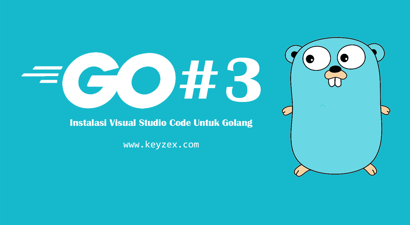 Belajar Golang #3 : Instalasi Visual Studio Code Untuk Golang