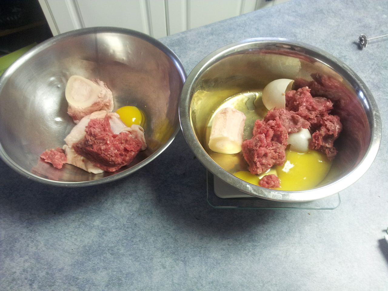 I Own a Carnivore! Eggs are Excellent!