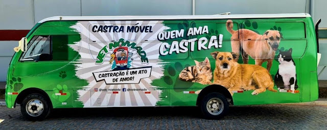 Prefeitura  realiza primeiro mutirão para  castração de cadelas de rua no  município de Piatã