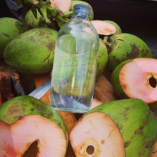 manfaat kelapa hijau Kelapa Hijau atau dikenal dengan kelapa wulung memiliki kekayaan manfaat untuk kesehatan tubuh. Kelapa ini berasal dari hindia dan menyebar ke seluruh dunia. Tanaman kelapa berguna mulai dari akar hingga daun. Selain semua anggota bagian pohon ini memeiliki manfaat untuk memudahkan kehidupan manusia, kelapa hijau wulung ini juga dikenal luas memiliki manfaat untuk kesehatan dan kecantikan,