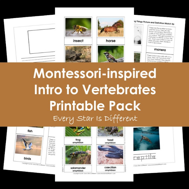 Montessori-inspired Intro to Vertebrates Printable Pack Bundle