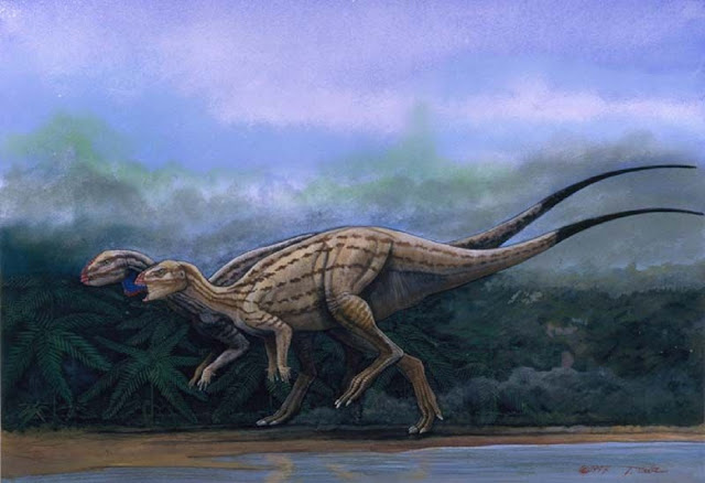 Гиганты мира рептилий: птицетазовые динозавры 