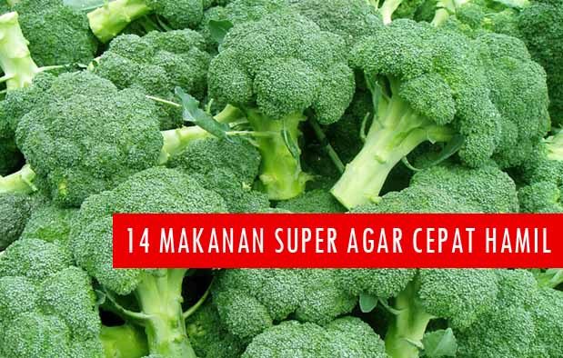 Makanan Agar Cepat Hamil Makanan Agar Cepat Hamil