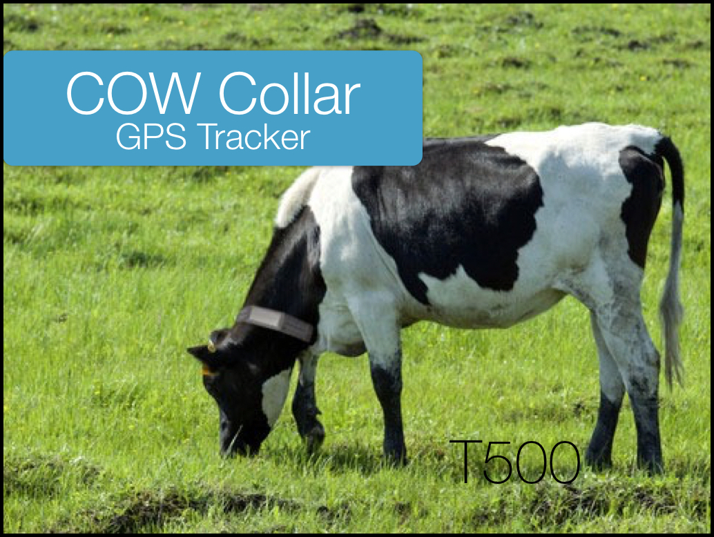gps tracking device for cattle apps technology