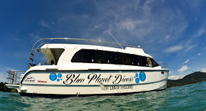 Blue Planet Small catamaran