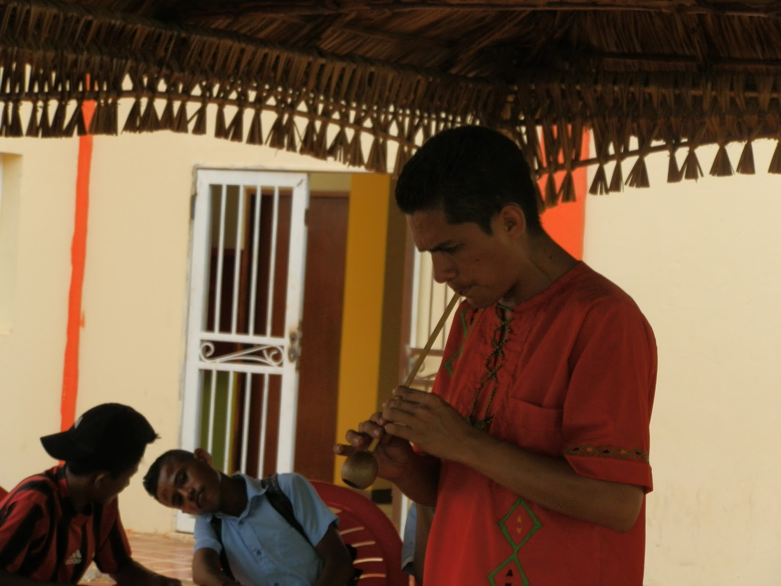 RED DE INVESTIGADORES INDÍGENAS Los instrumentos musicales wayuu