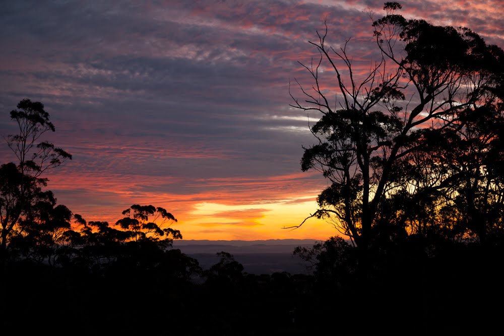 ziv creative Mt Tamborine, view west over mountain range