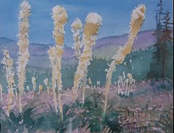 'Big Mountain Beargrass'
(c) Lois Sturgis