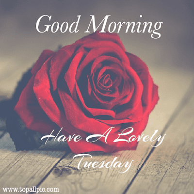 good morning tuesday images good morning tuesday images